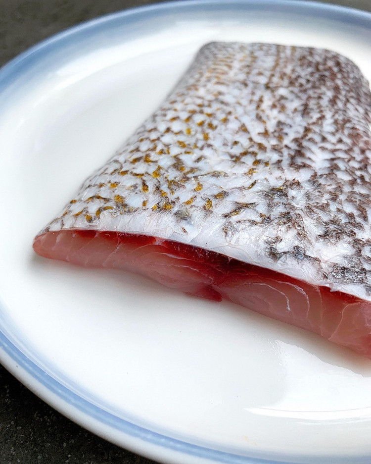 澎湖野生加志魚排