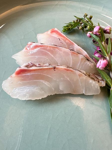 日本蜜柑鯛 （みかん鯛 ）生食級魚排