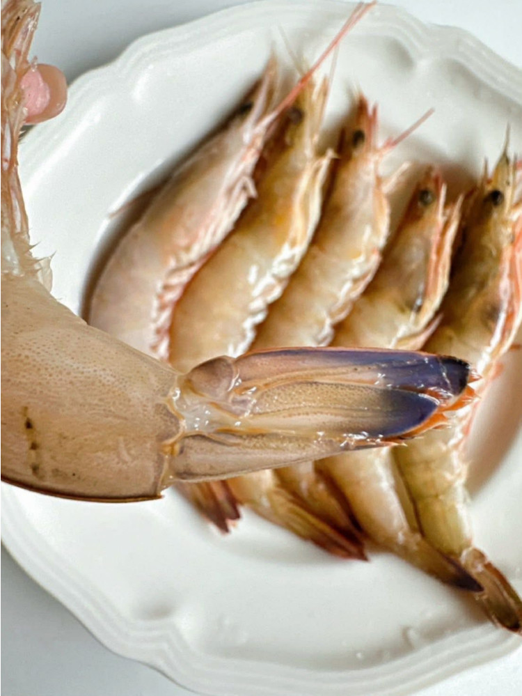 澎湖野生鮮脆海蘆蝦仁