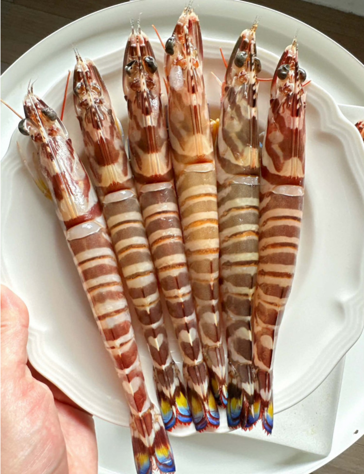 頂級生食級澎湖大明蝦 (300g)