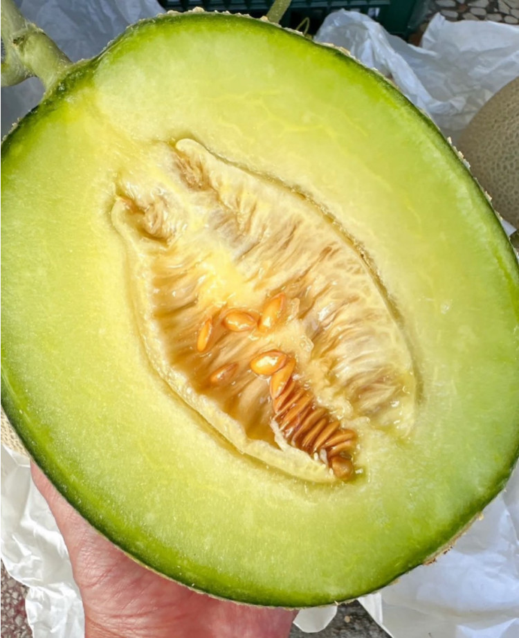 夢幻日本美華洋香瓜 (免運費)